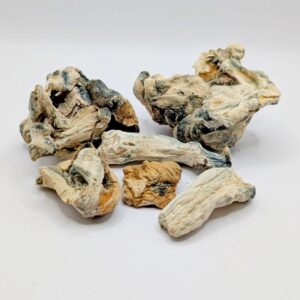 Mushrooms